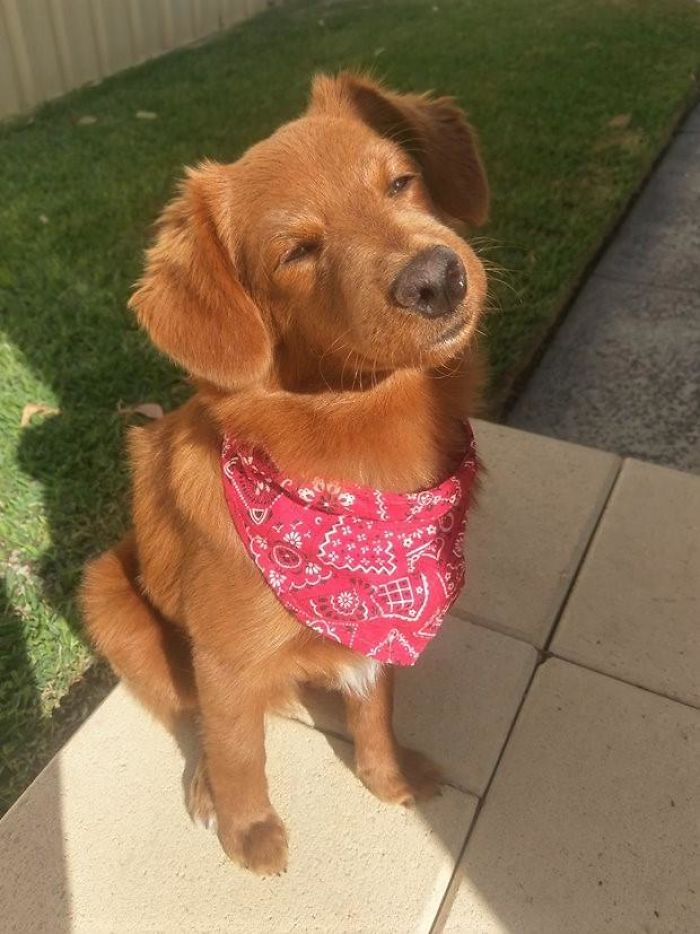 Morning Sun Has A Calming Effect On Him