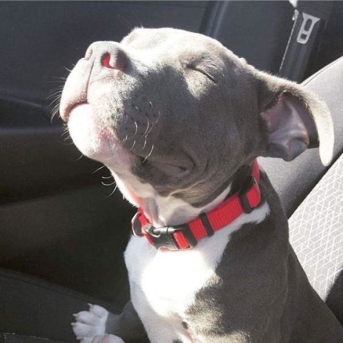 Here Comes The Sun (Doo Doo Doo Doo)