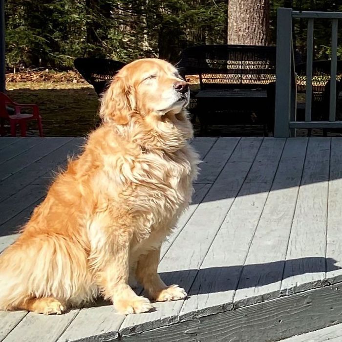 We Need To Be More Like Esther Today. Close Your Eyes, Feel The Sun, And Just Relax For A Minute