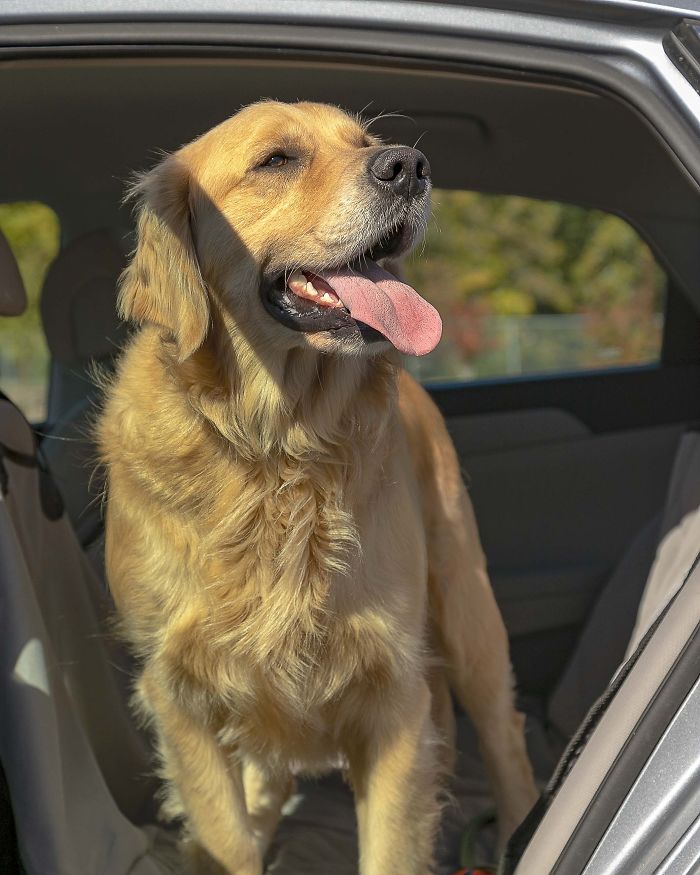 Cooper Loves The Sunshine