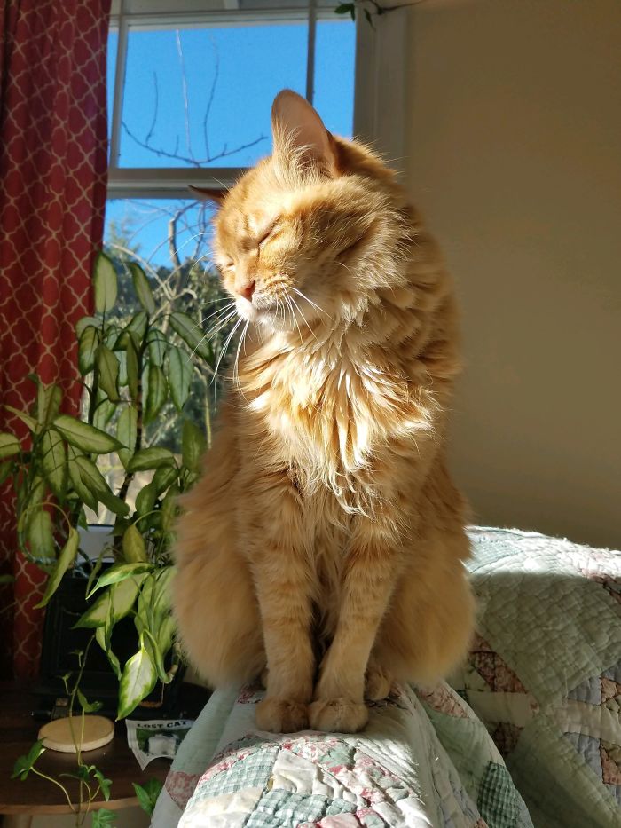 Gavin Takes Old Man Nap In The Sun