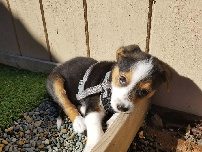 Just Gonna Sunbathe And Melt Your Heart While I'm At It