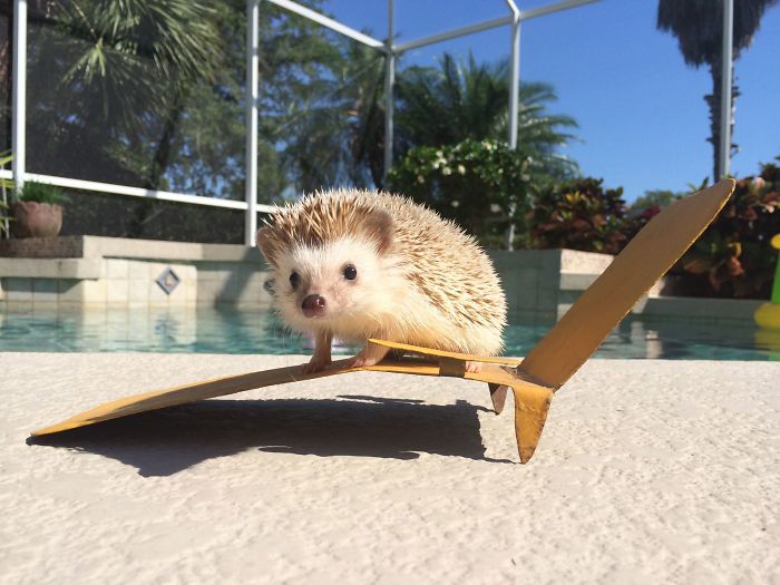 Quilliam Basking In The Sun