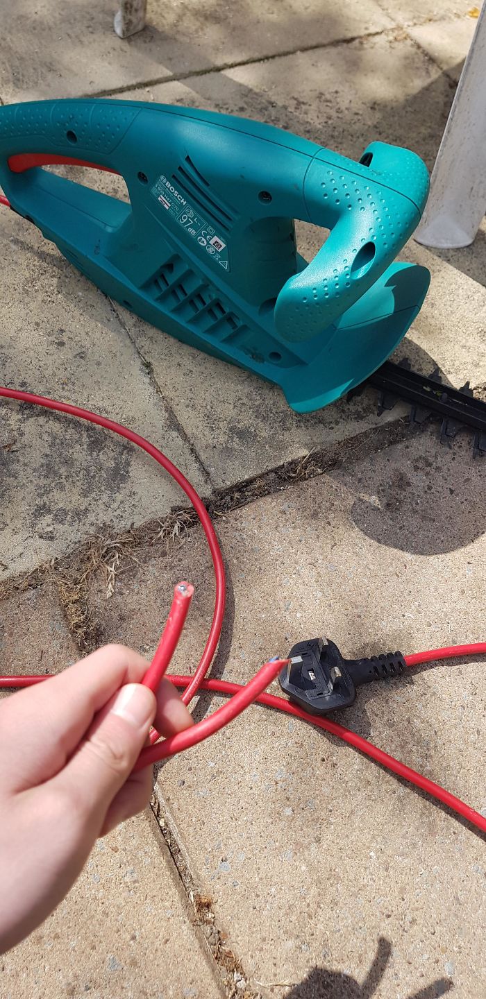 Made A Small Error While Trimming The Hedges