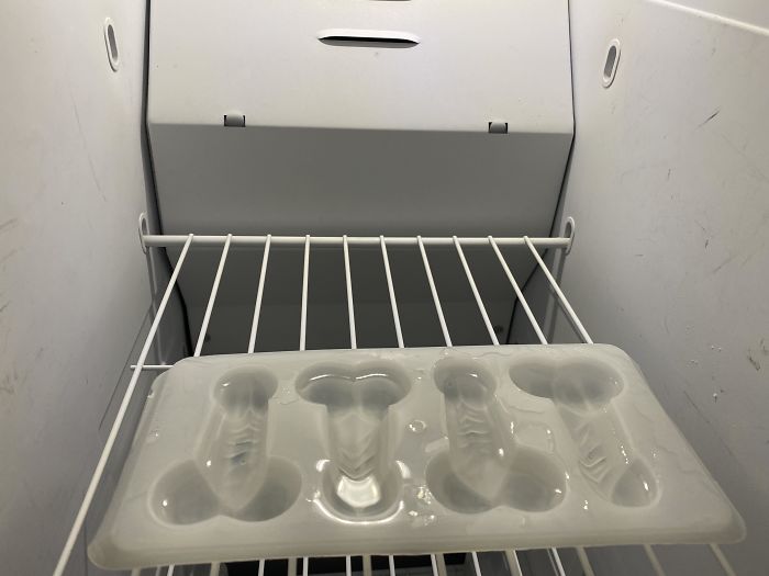 My Ice Maker Broke And I Only Own 1 Ice Tray. Anyone Want A Stiff Drink?