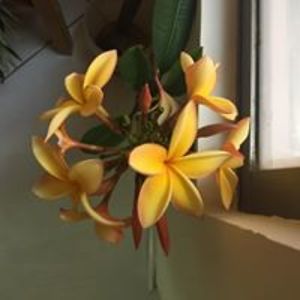 estrellitadelosriosarrieta avatar