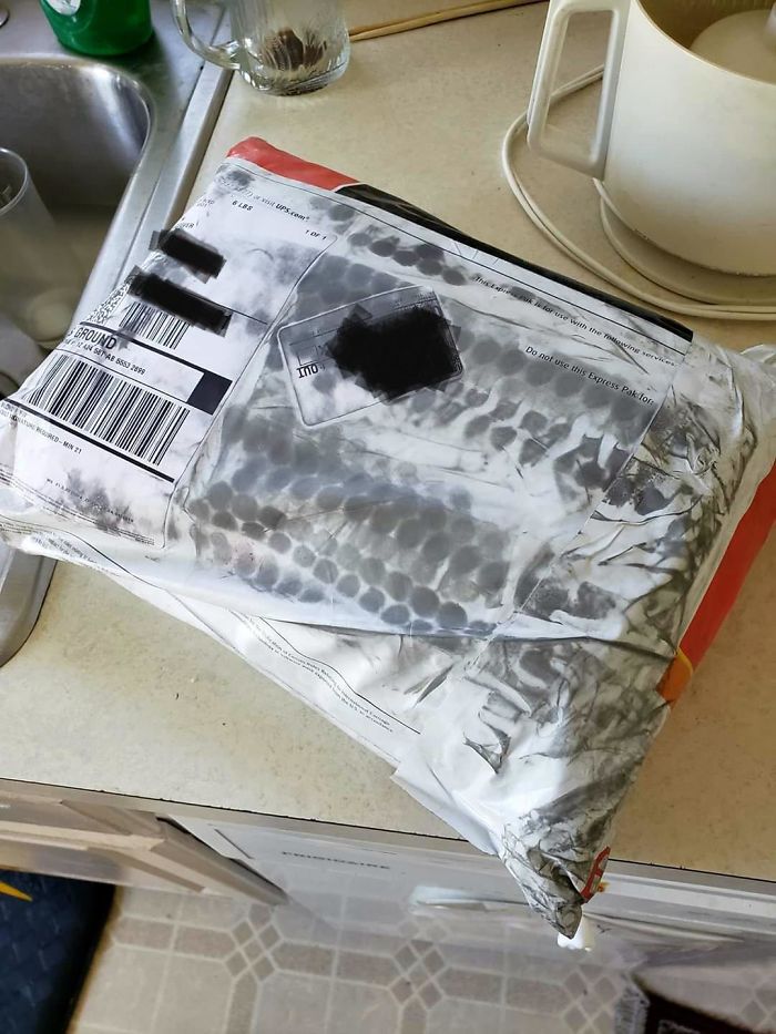 My UPS Driver Ran Over My Package