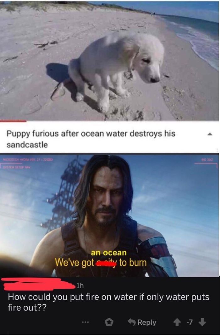 We’ve Got A Redditor To Burn