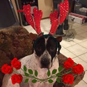 kimberlypratt8470 avatar