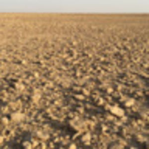 apprenticeproductions avatar