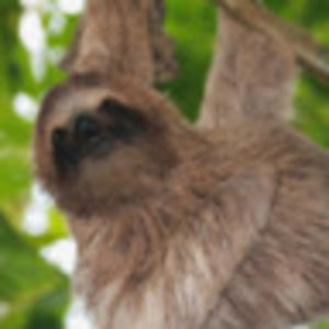 joleezzstuabramson avatar