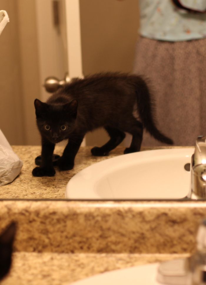 First Time Looking In The Mirror