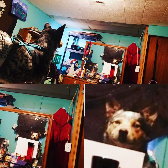 The Face He Makes In The Mirror.