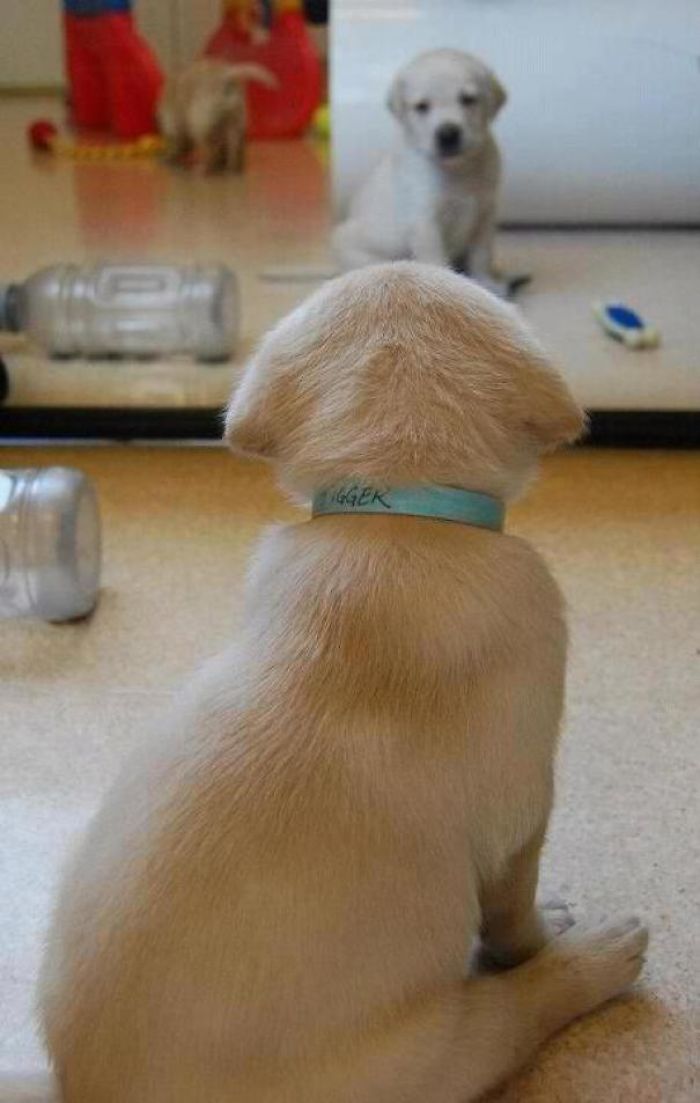 Mirror Mirror On The Wall...