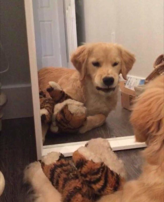 When You Get Up From A Nap And Look In The Mirror