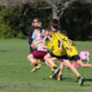 meihanajohanson avatar