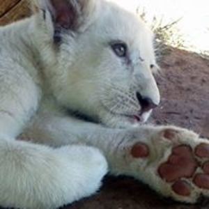 pamela_reilly_47 avatar