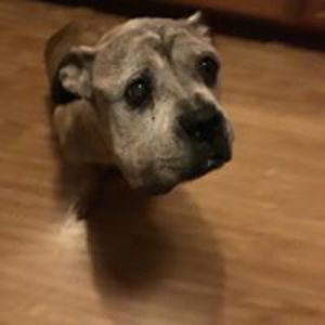 alex_wright_1 avatar