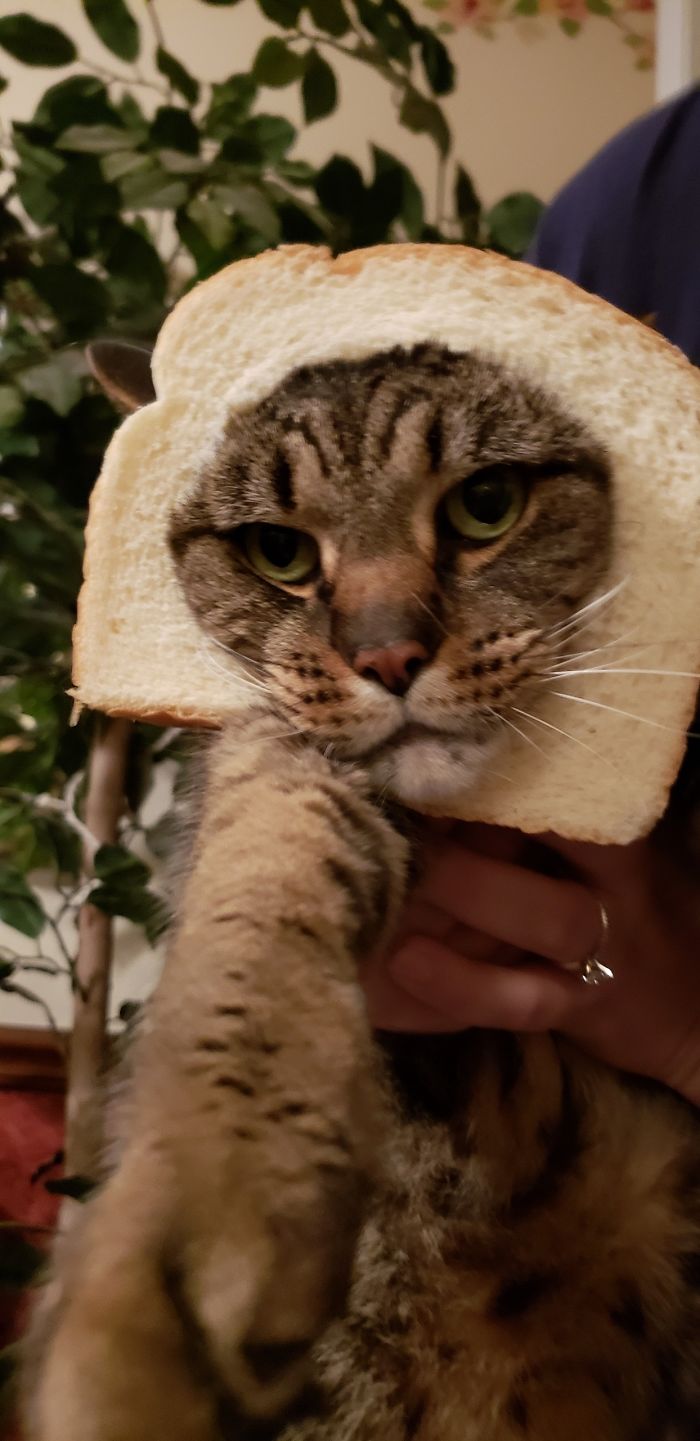 I Know This Is So 5 Years Ago But It Was Our First Time. He's Adorable