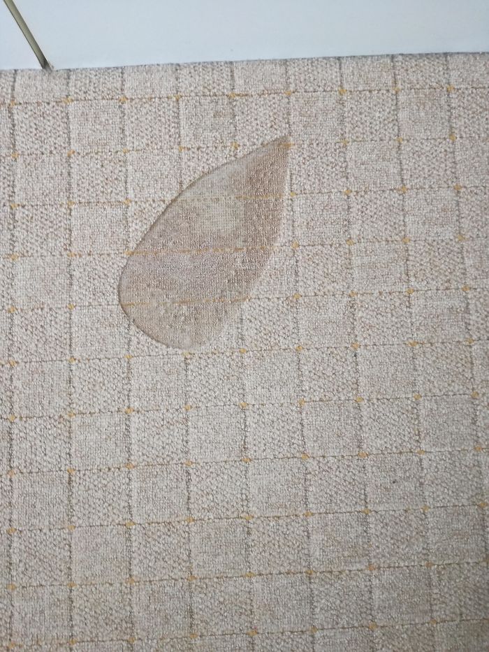 My Iron Fell And I Didn't Notice