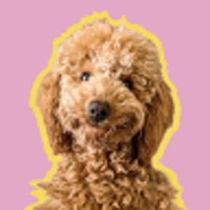 igorsoofficial avatar