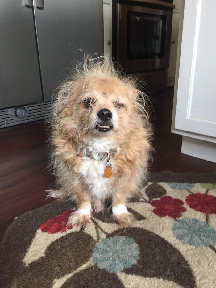 No Matter How Bad Your Day Was I Can Assure You That Peanut’s Was Worse