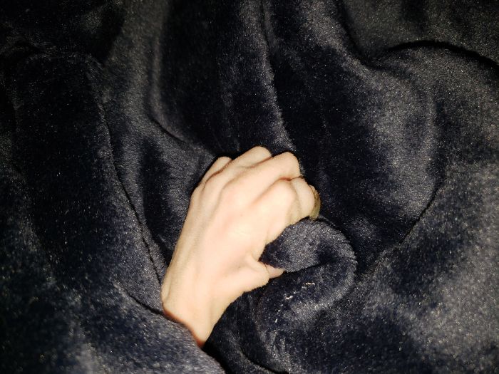 My Sphynx's Little Hand Clutching His Favorite Blankie