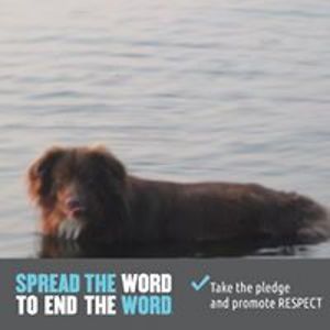 christine_levesque_searles avatar