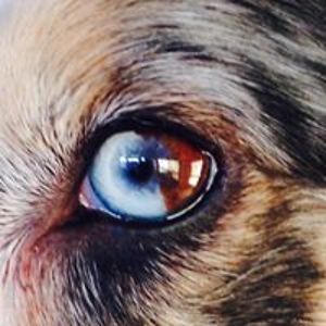 denise_anderson_1 avatar