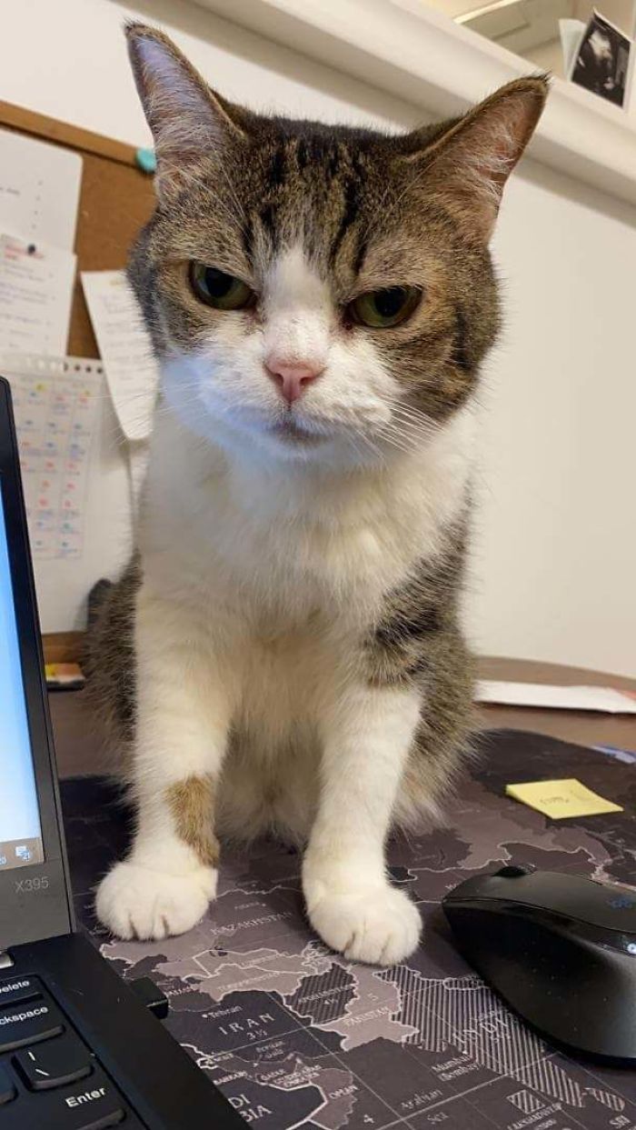 Shes 14 And Sick 'N Tired Of Us Working From Home