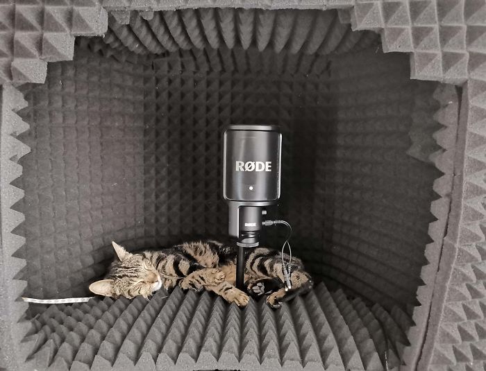 So I Built My Wife A Voiceover Booth ...