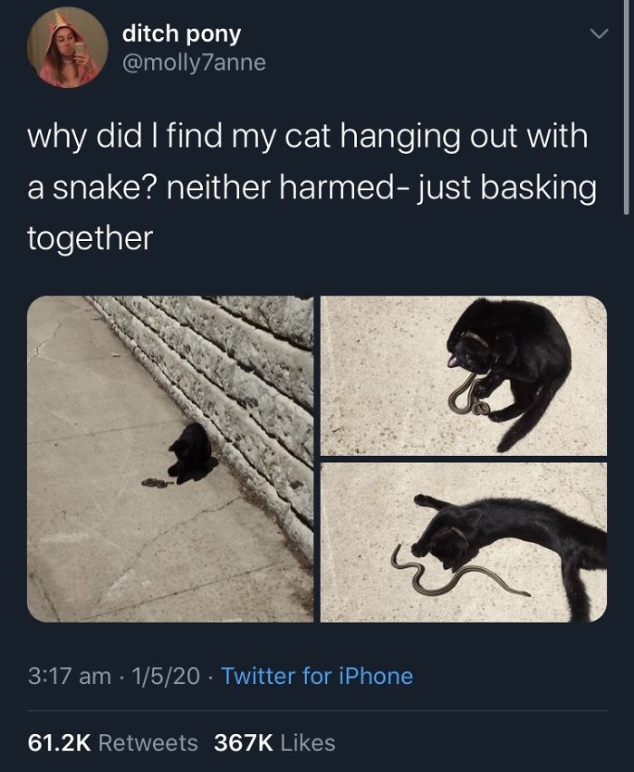 Besssssssssssssstiessssssssssss