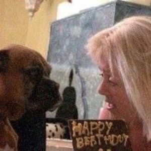 houseoffusionmarrakech avatar