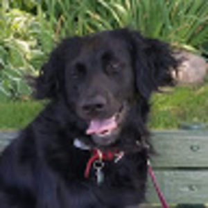 estellegiles-monroe avatar