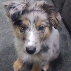 mallory_knudsen avatar