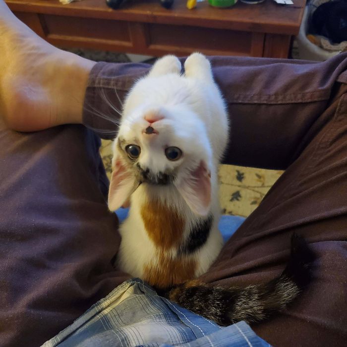 She Watches The TV, And Then I Watch Her