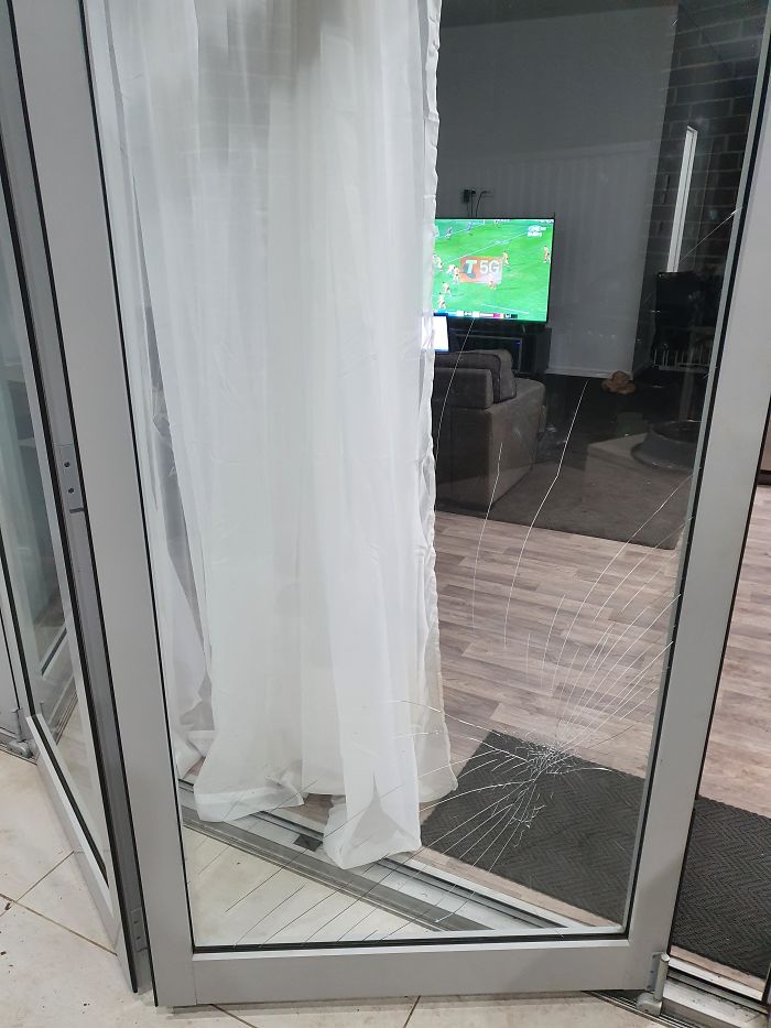 Dog Thought The Door Was Open, It Wasn't