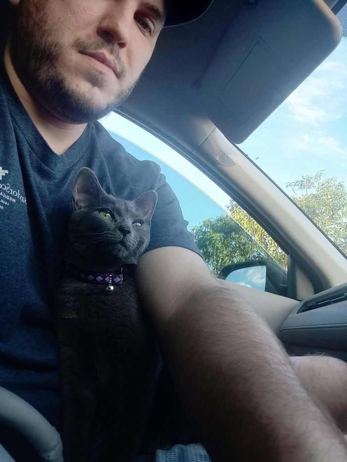 Went To The Store To Get Dog Food And They Were Hosting Some Cats For Adoption And Long Story Short, Meet Laszlo!