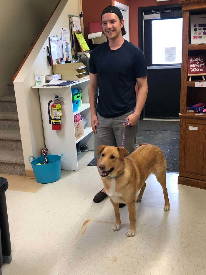 Just Adopt This Amazing Girl From The Local Humane Society, After 144 Days She Finally Has Her Forever Home!