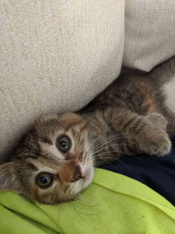 Shortly After I Rescued My Baby