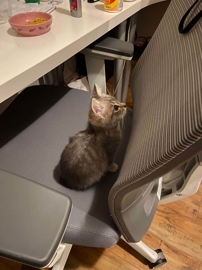 Rescued This Sweet Bb Friday Night!!