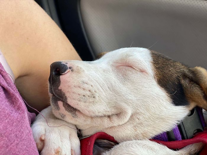 She Knows She’s Being Adopted!