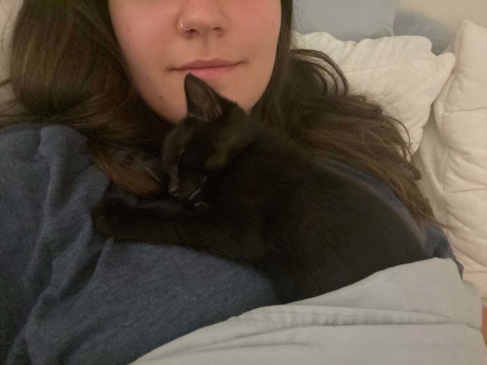 Three Days After Adopting Ziggy, He's Settling In Just Fine