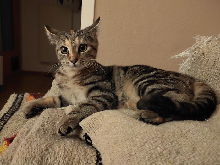 Told Her She's Adopted...