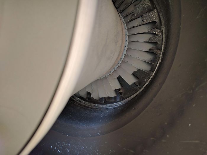 Each One Of Those Blades Is About $2000.