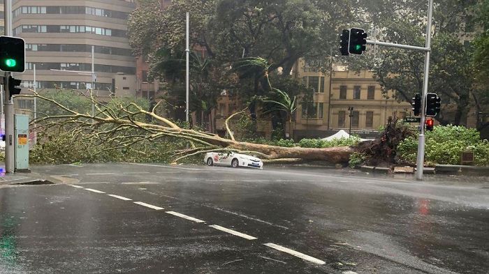 Insane Storms In Australia Are Flooding What’s Left Of The Country After Millions Of Hectares Have Been Burnt