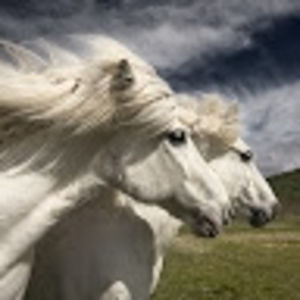 victoriahowell avatar