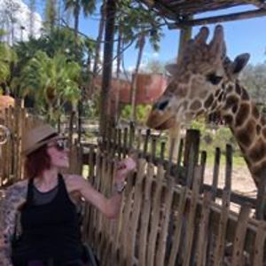 beckstarichter avatar