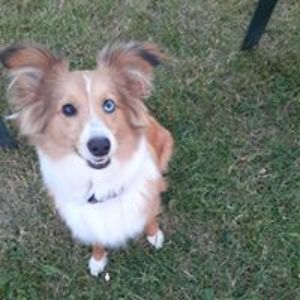 jourdenaismarie avatar