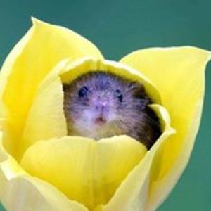 leoniewarwick1 avatar